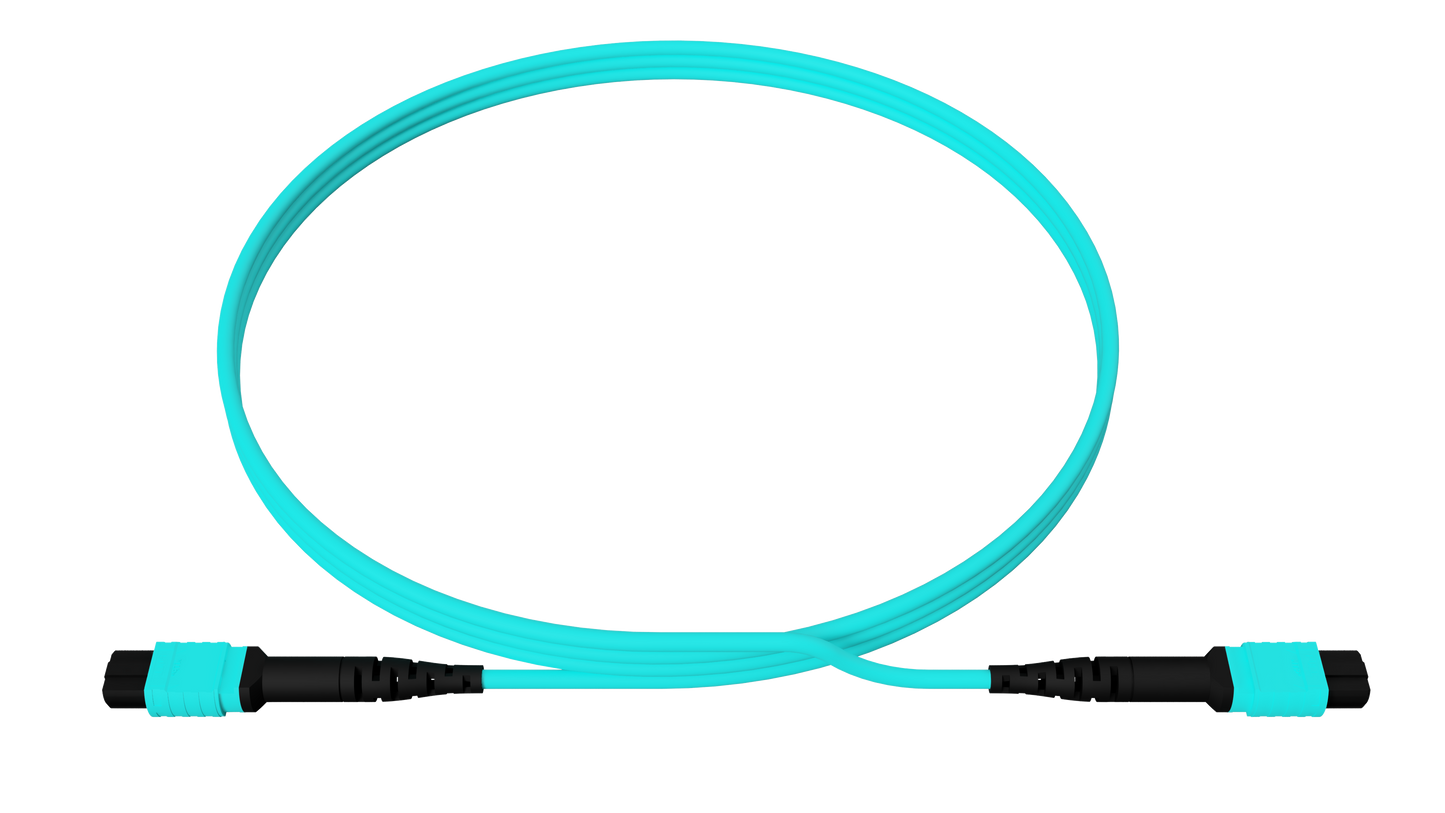 MPO12 UPC to MPO12 UPC, Multimode OM4, 12 Fiber, OFNP, Type A