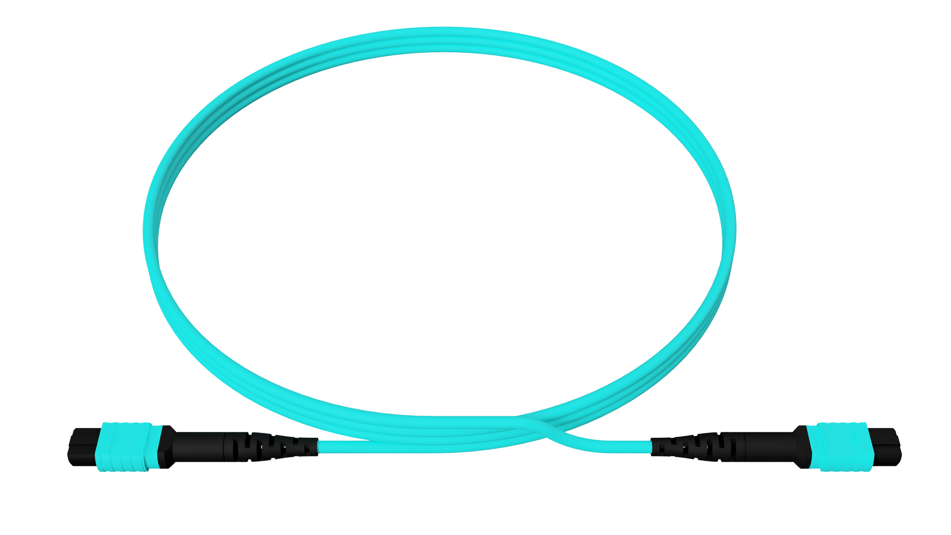 MPO12 UPC to MPO12 UPC, Multimode OM4, 12 Fiber, OFNP, Type A