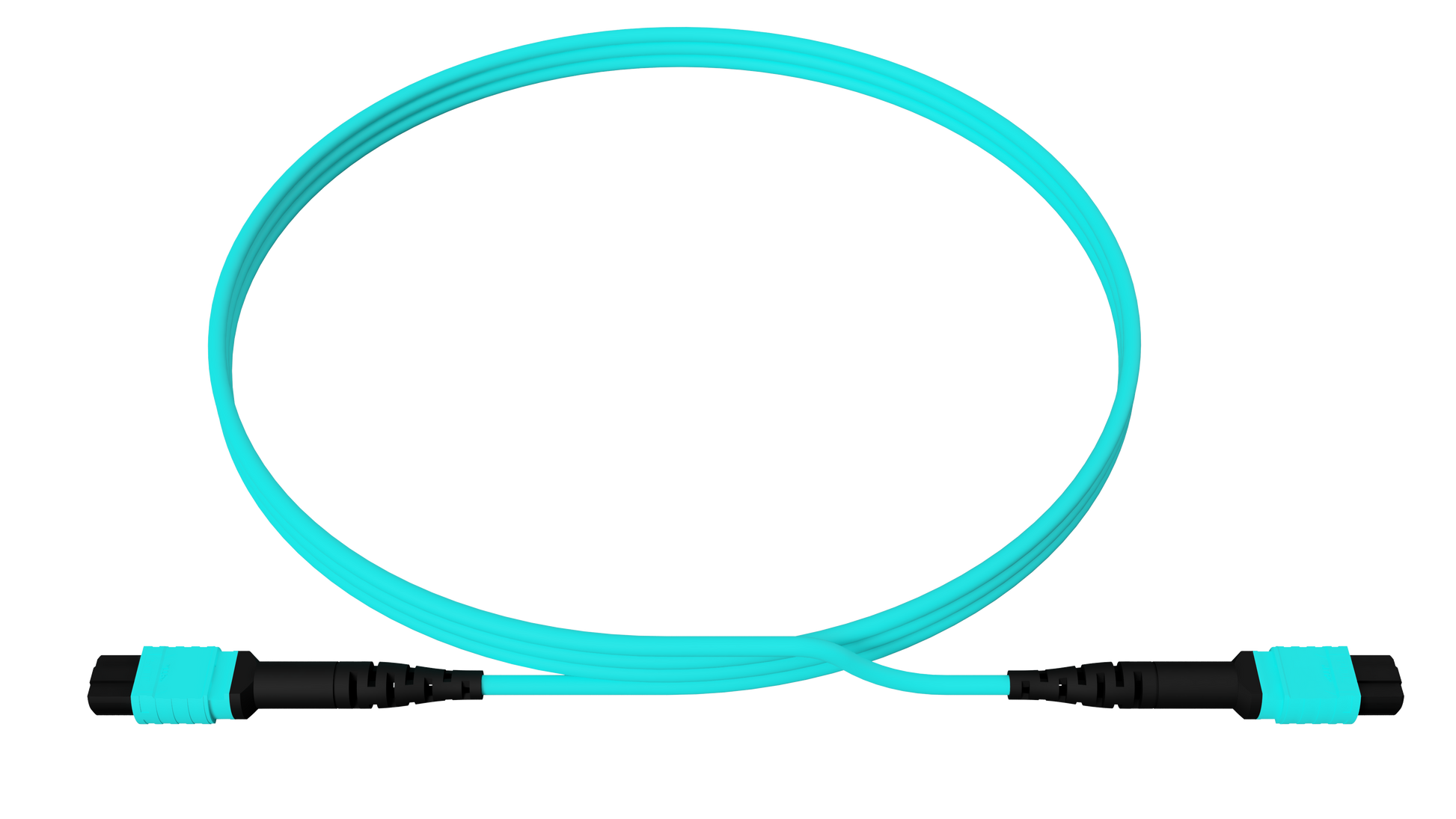 MPO12 UPC to MPO12 UPC, Multimode OM4, 12 Fiber, OFNP, Type A